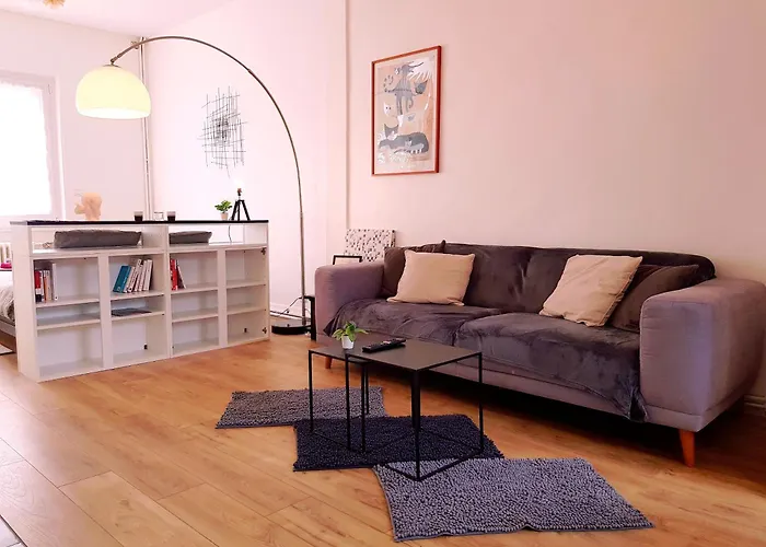 Le Chat D\'Or - 35M2 - Terrasse - Bbq - Wifi Hd